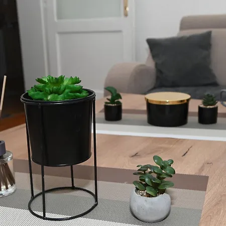 Sonja Apartman *